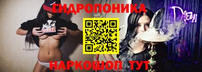 дживик Сланцы