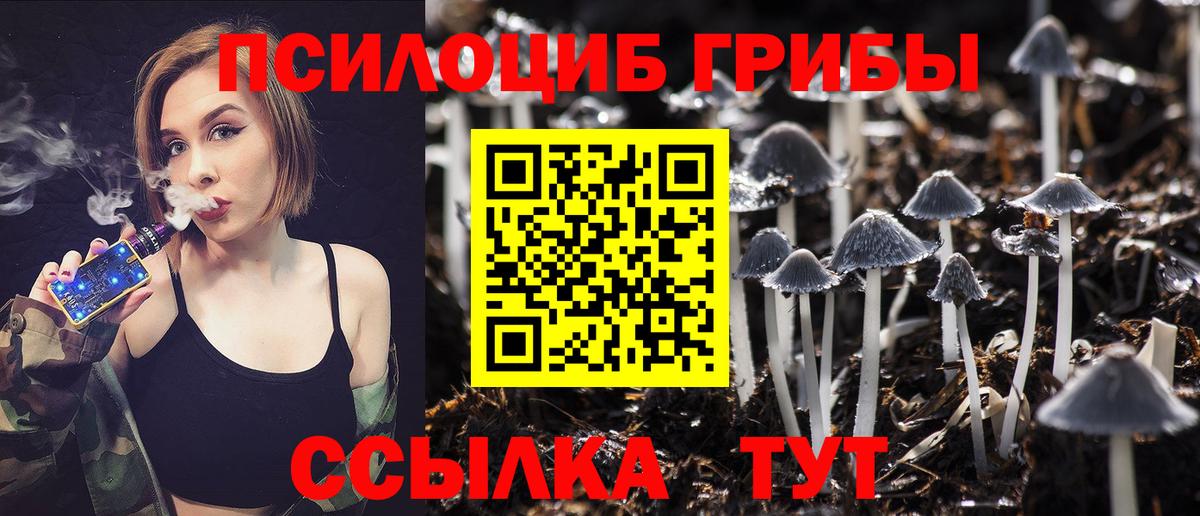 Павлово  Псилоцибиновые грибы Psilocybe  Вход с VPN 
